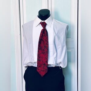 Scarlet Bright Red Apple Tie Wedding Prom Tuxedo Pre Tied clip tapestry paisley